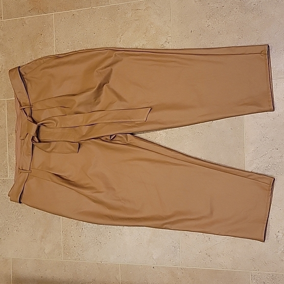𝅺NEW! EXPRESS Tan Vegan Leather Pleated Tie Waist Ankle Pants Trousers XL. - Picture 3 of 7